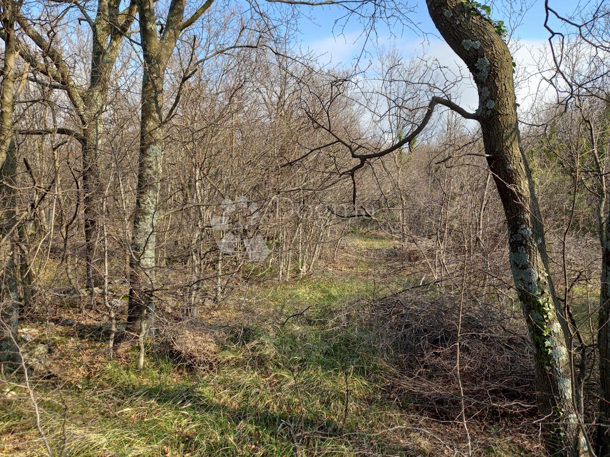 Terreno In vendita - PRIMORSKO-GORANSKA KRALJEVICA