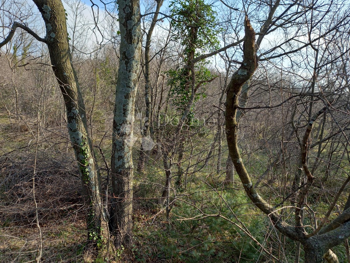 Terreno In vendita - PRIMORSKO-GORANSKA KRALJEVICA