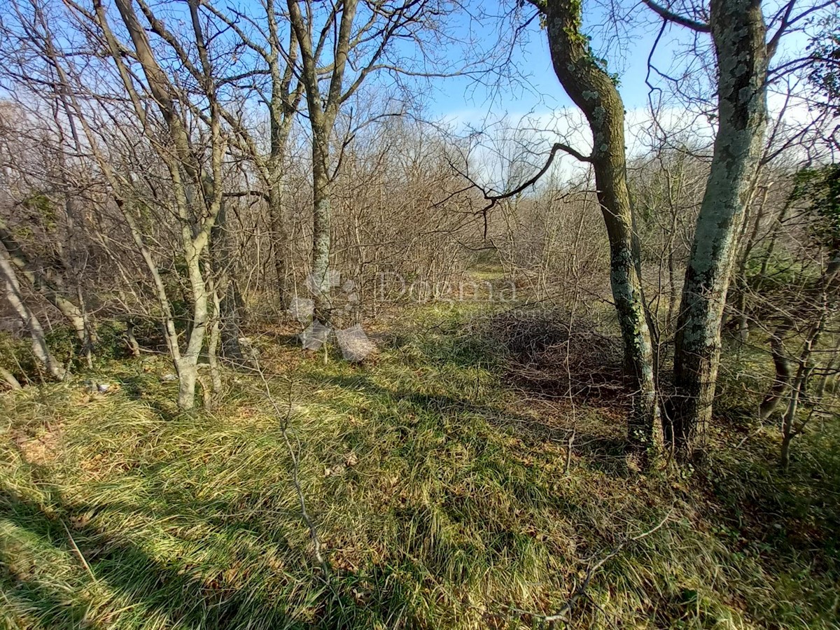 Terreno In vendita - PRIMORSKO-GORANSKA KRALJEVICA