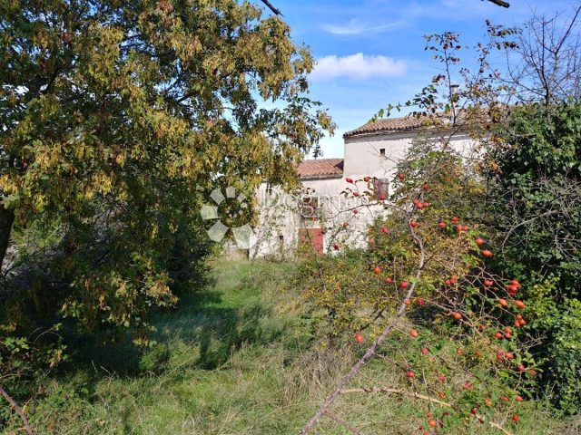 Maison À vendre - Istarska Vodnjan - foto 2/25