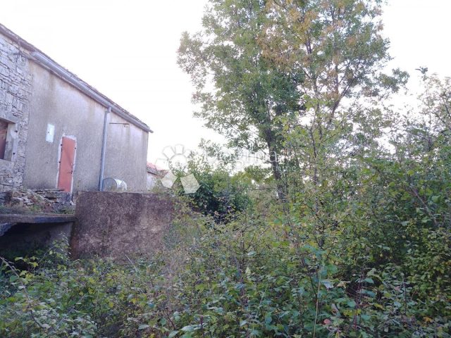 Maison À vendre - Istarska Vodnjan - foto 4/25