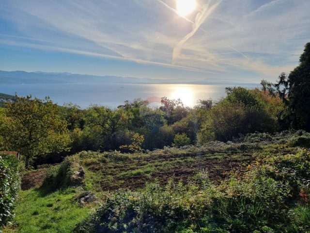 Terrain à vendre 17600 m² – Poljane