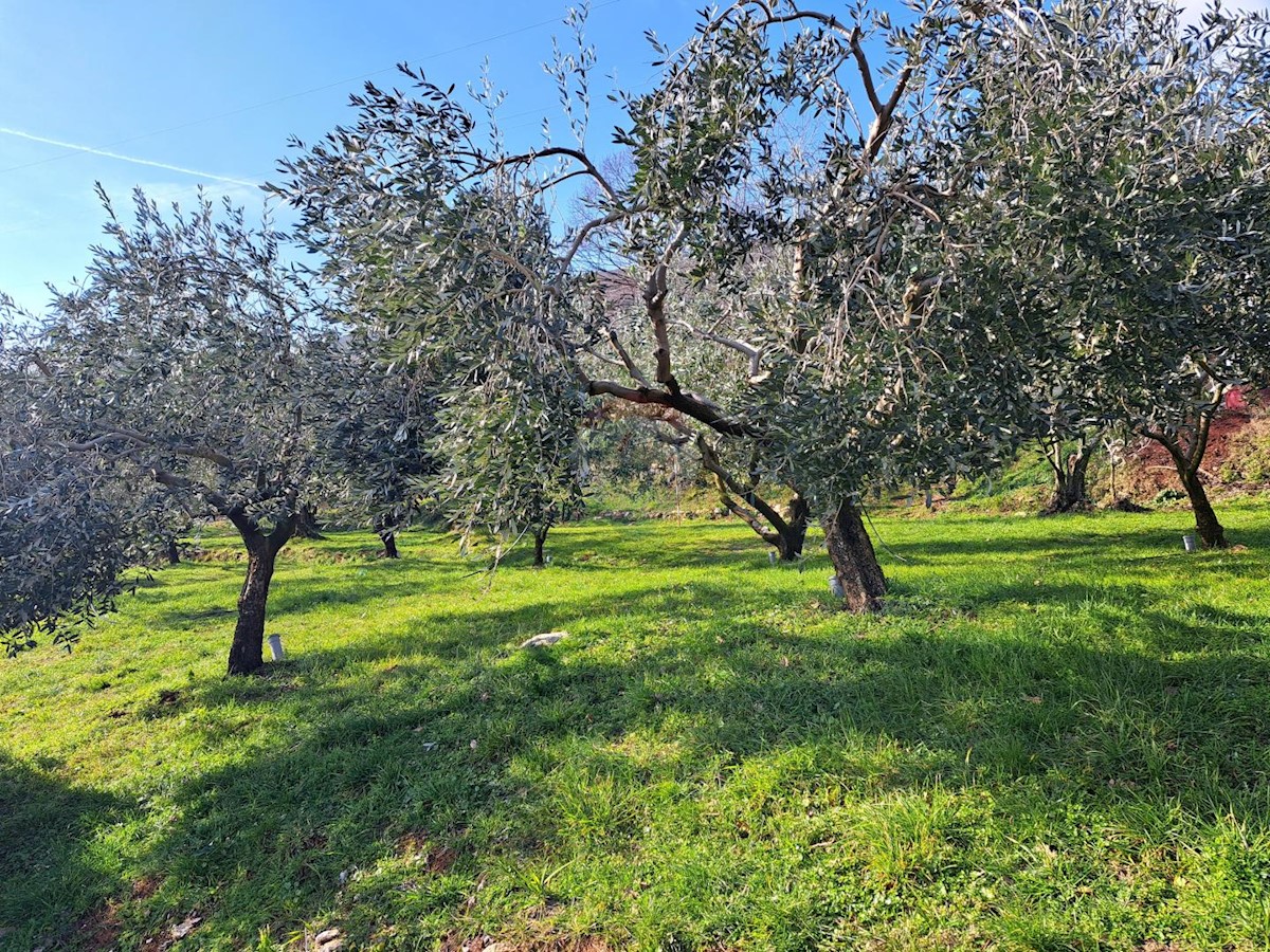 Terreno In vendita - PRIMORSKO-GORANSKA MOŠĆENIČKA DRAGA