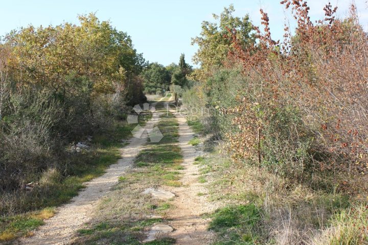 Terreno In vendita - Istarska Vodnjan - foto 3/6