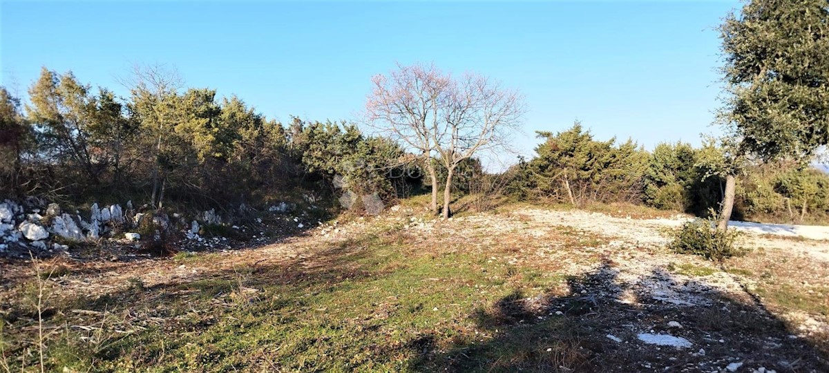 Land For sale - ISTARSKA MARČANA