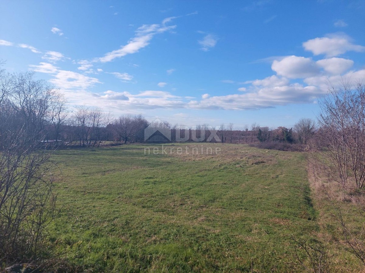 Land For sale - ISTARSKA TINJAN