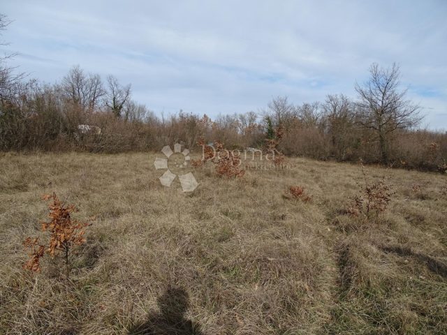 Land for sale 3500 m² – Juršići