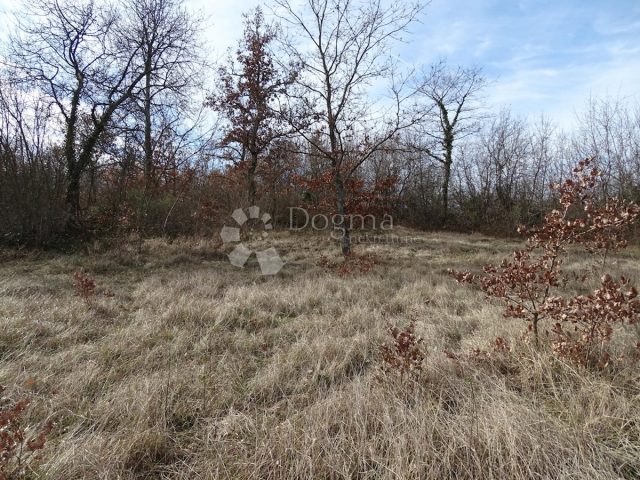 Terrain À vendre - Istarska Svetvinčenat - foto 2/9