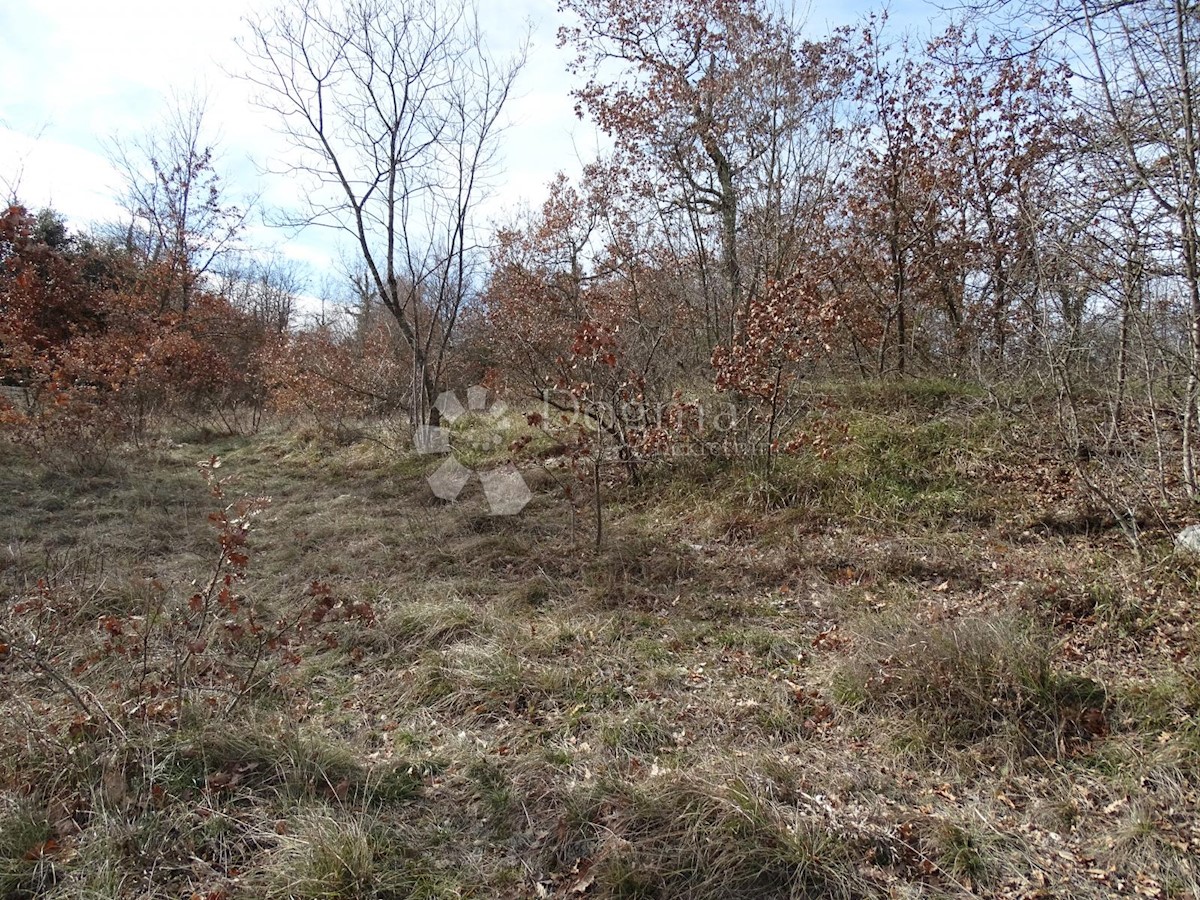 Terreno In vendita - ISTARSKA SVETVINČENAT