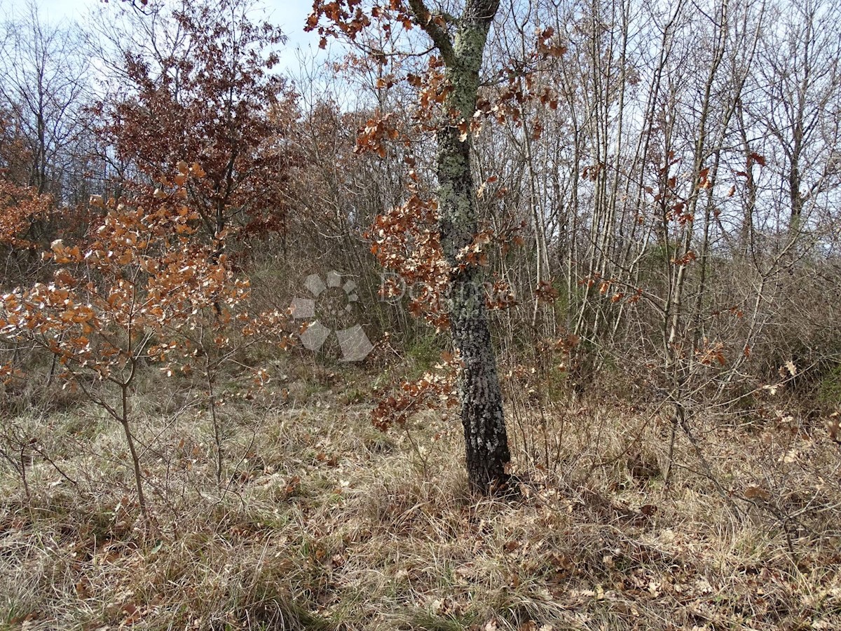 Terreno In vendita - ISTARSKA SVETVINČENAT