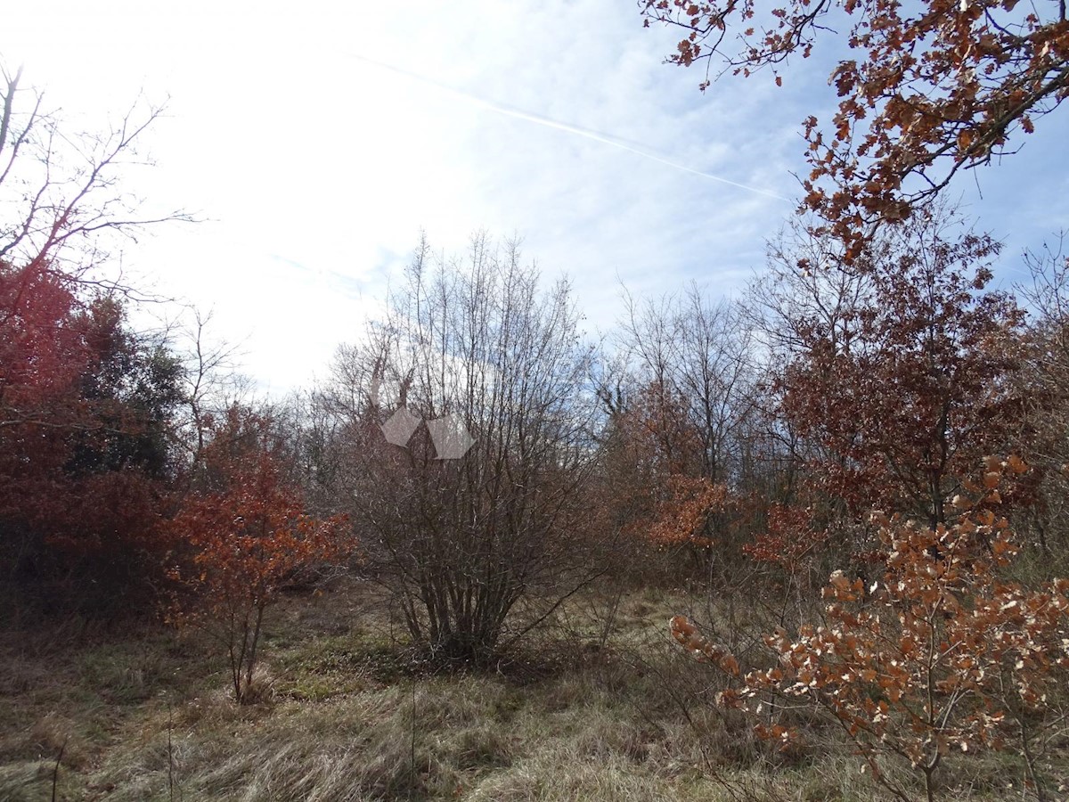 Terreno In vendita - ISTARSKA SVETVINČENAT