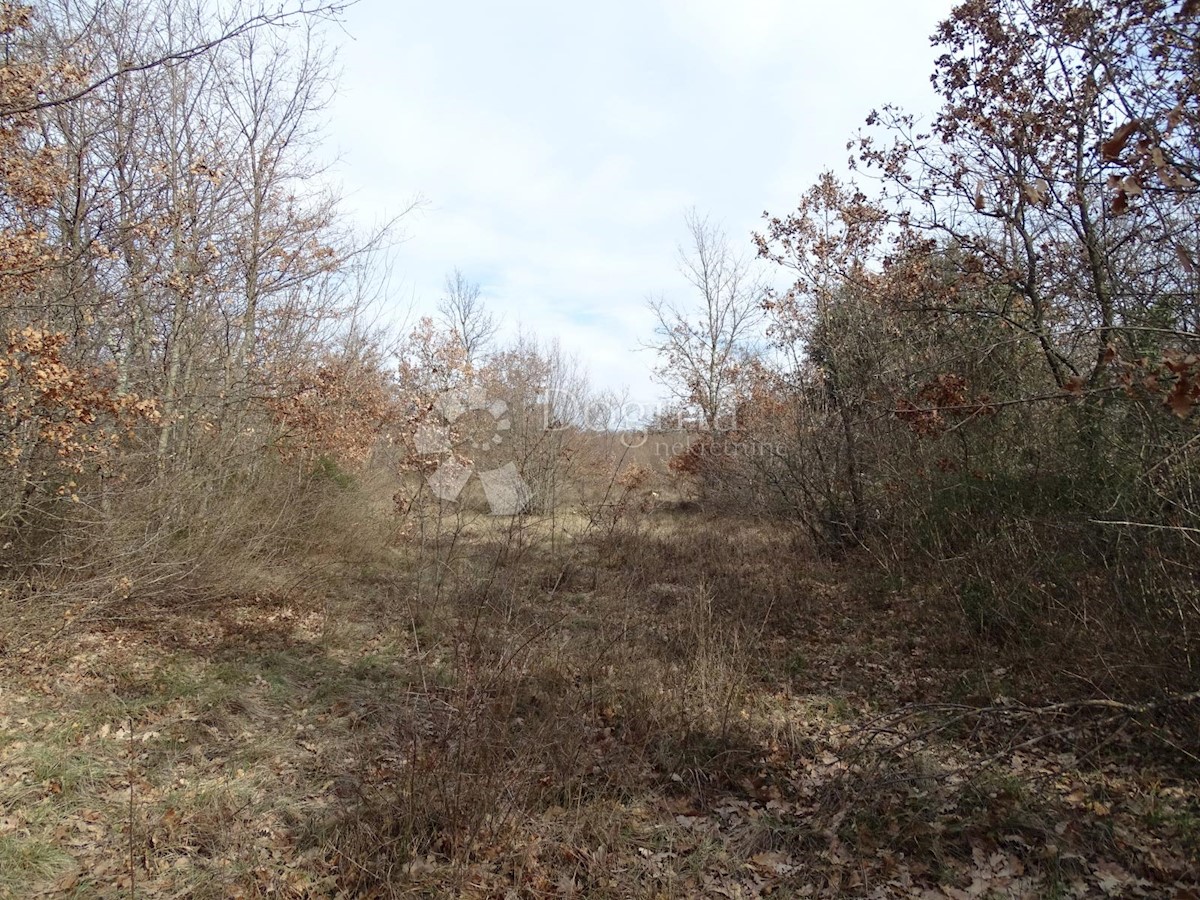 Terreno In vendita - ISTARSKA SVETVINČENAT