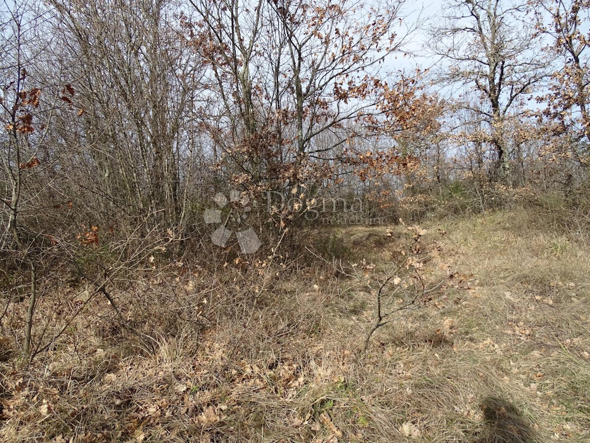 Terreno In vendita - ISTARSKA SVETVINČENAT