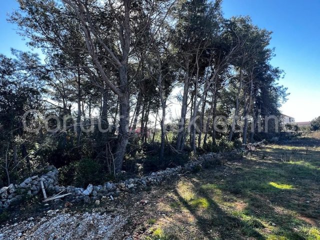 Terrain à vendre 1755 m² – Vir