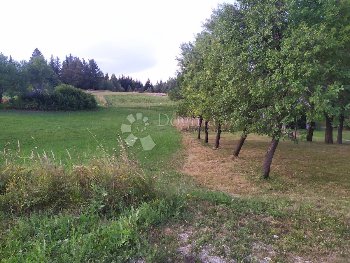 Land For sale - PRIMORSKO-GORANSKA RAVNA GORA