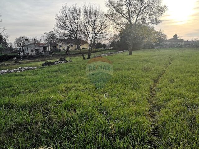 Terreno in vendita 1704 m² – Puntera