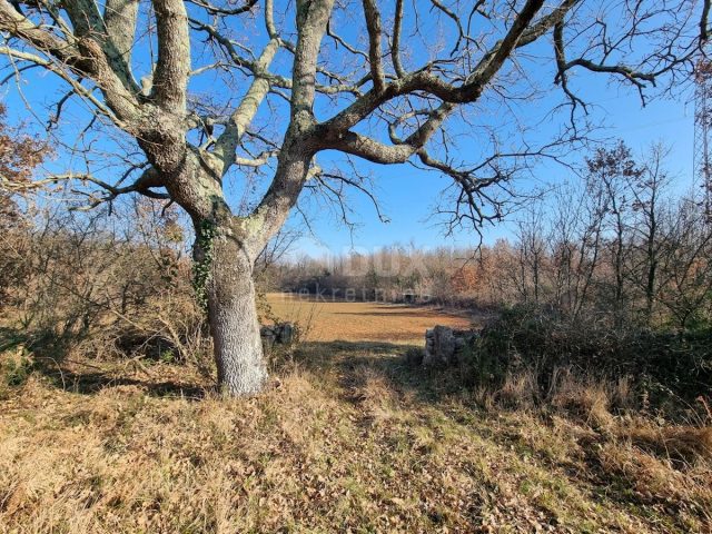 Zemljište na prodaju 45472 m² – Vodnjan