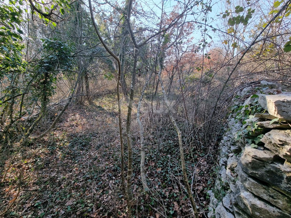 Zemljište Na prodaju - ISTARSKA VODNJAN