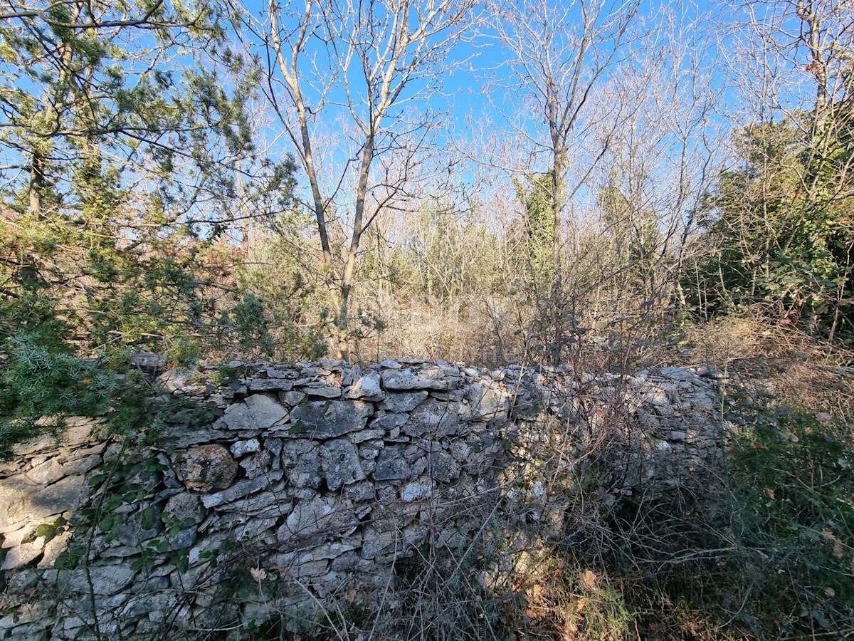 Zemljište Na prodaju - ISTARSKA VODNJAN