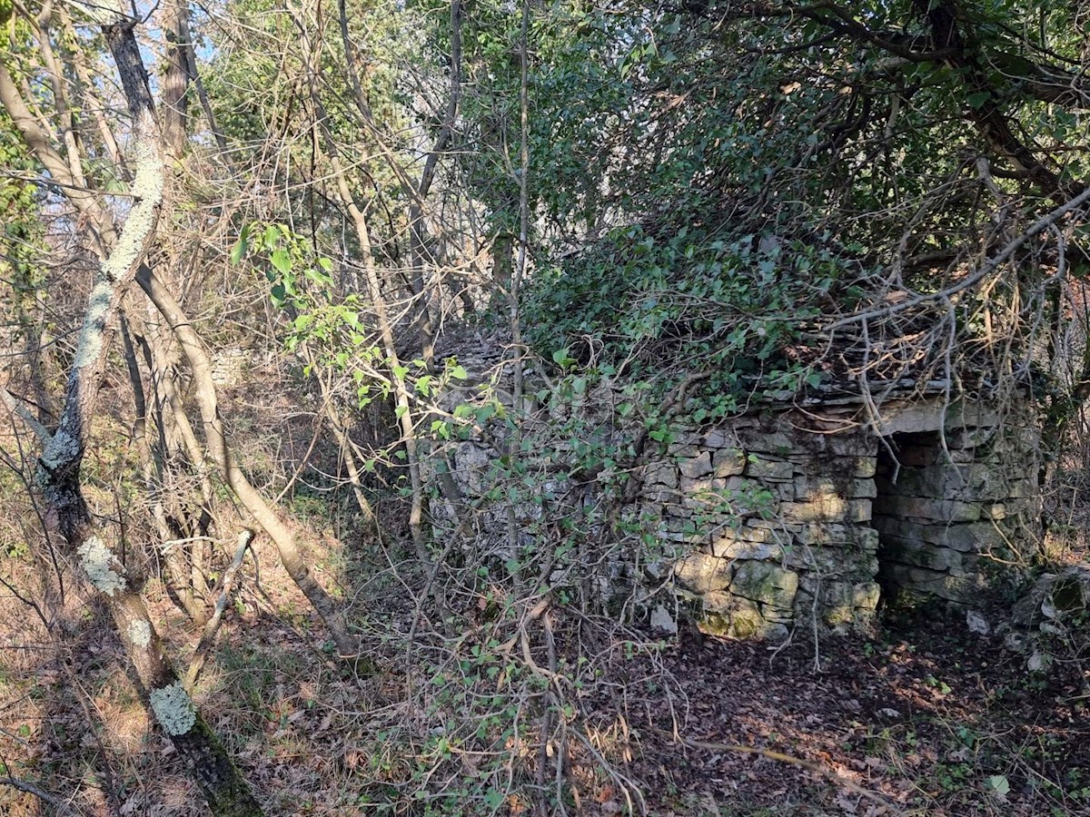 Zemljište Na prodaju - ISTARSKA VODNJAN