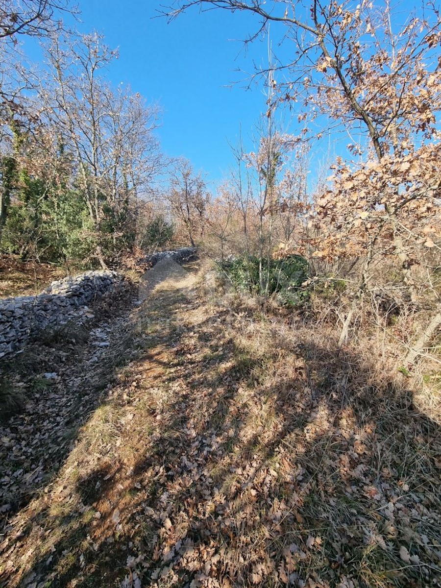 Zemljište Na prodaju - ISTARSKA VODNJAN