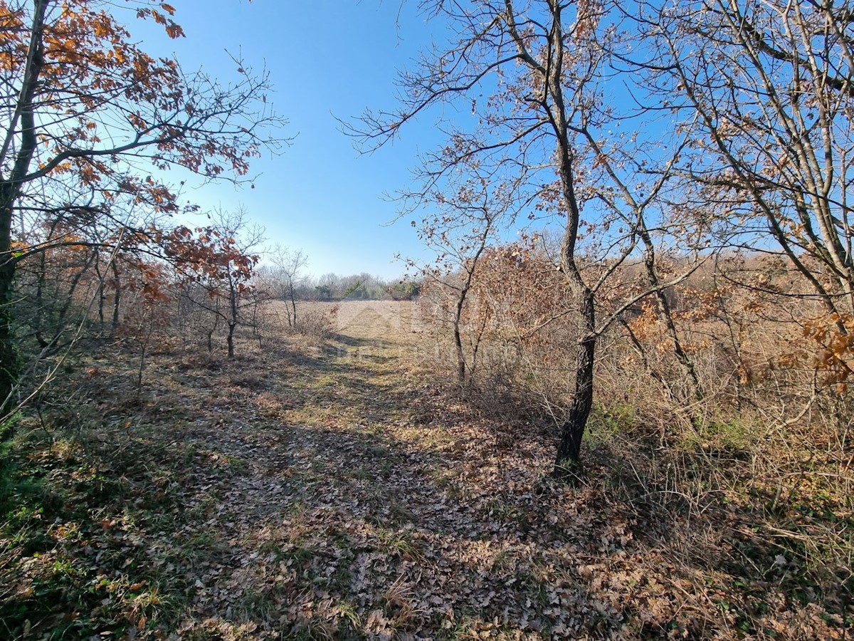 Pozemek Na prodej - ISTARSKA Vodnjan