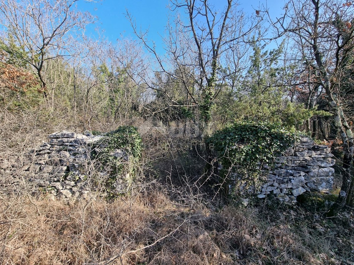 Zemljište Na prodaju - ISTARSKA VODNJAN