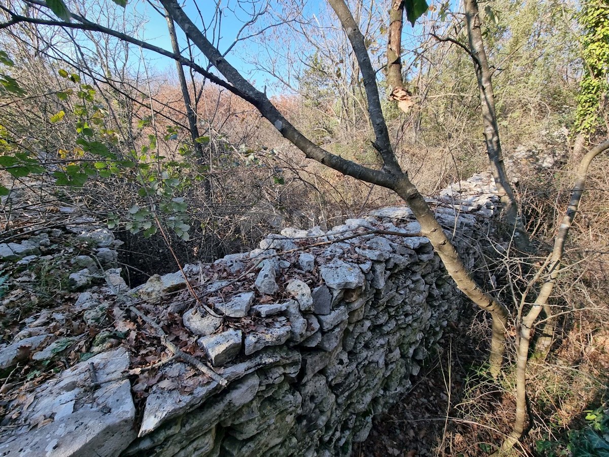 Zemljište Na prodaju - ISTARSKA VODNJAN