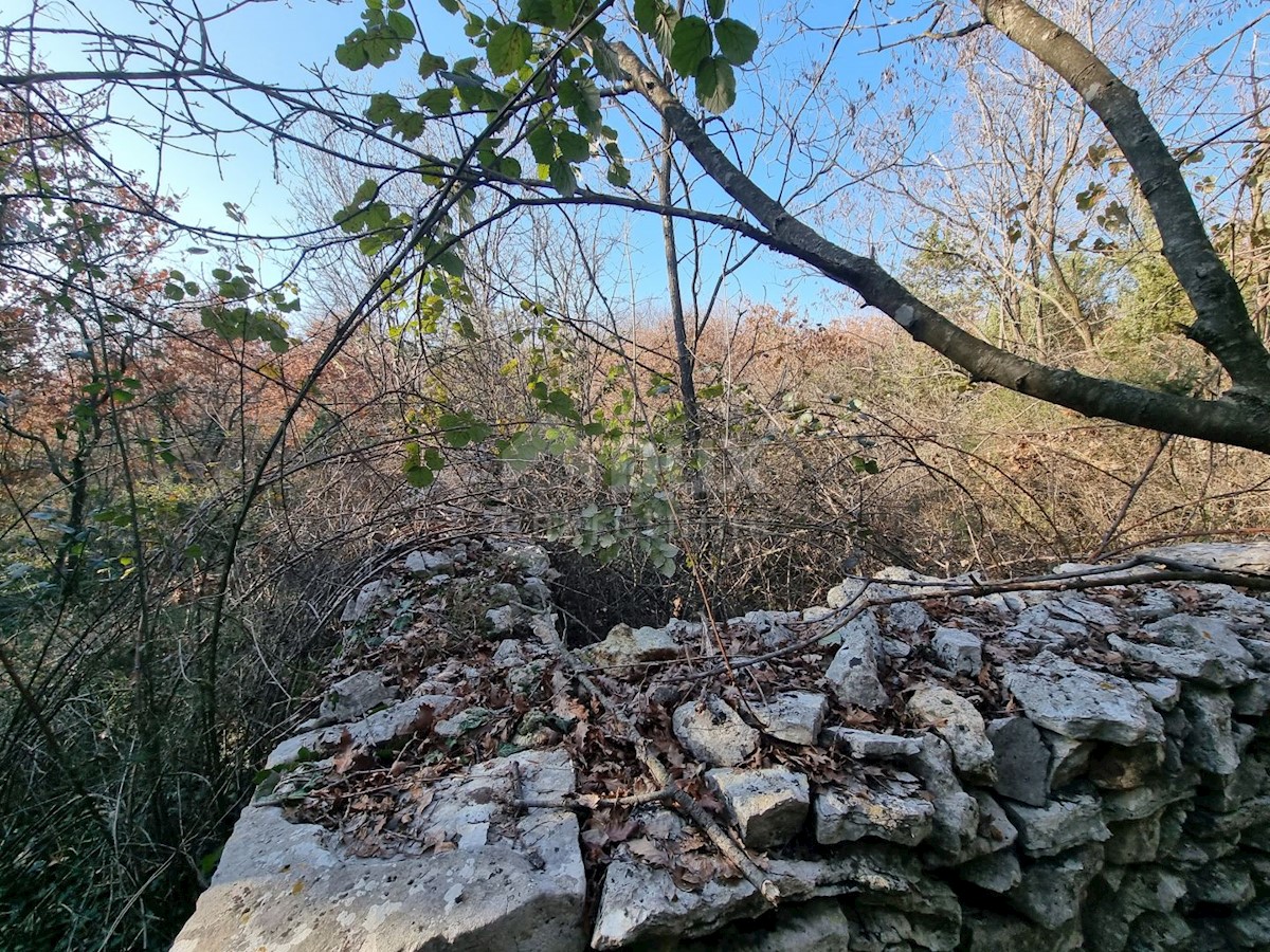 Zemljište Na prodaju - ISTARSKA VODNJAN
