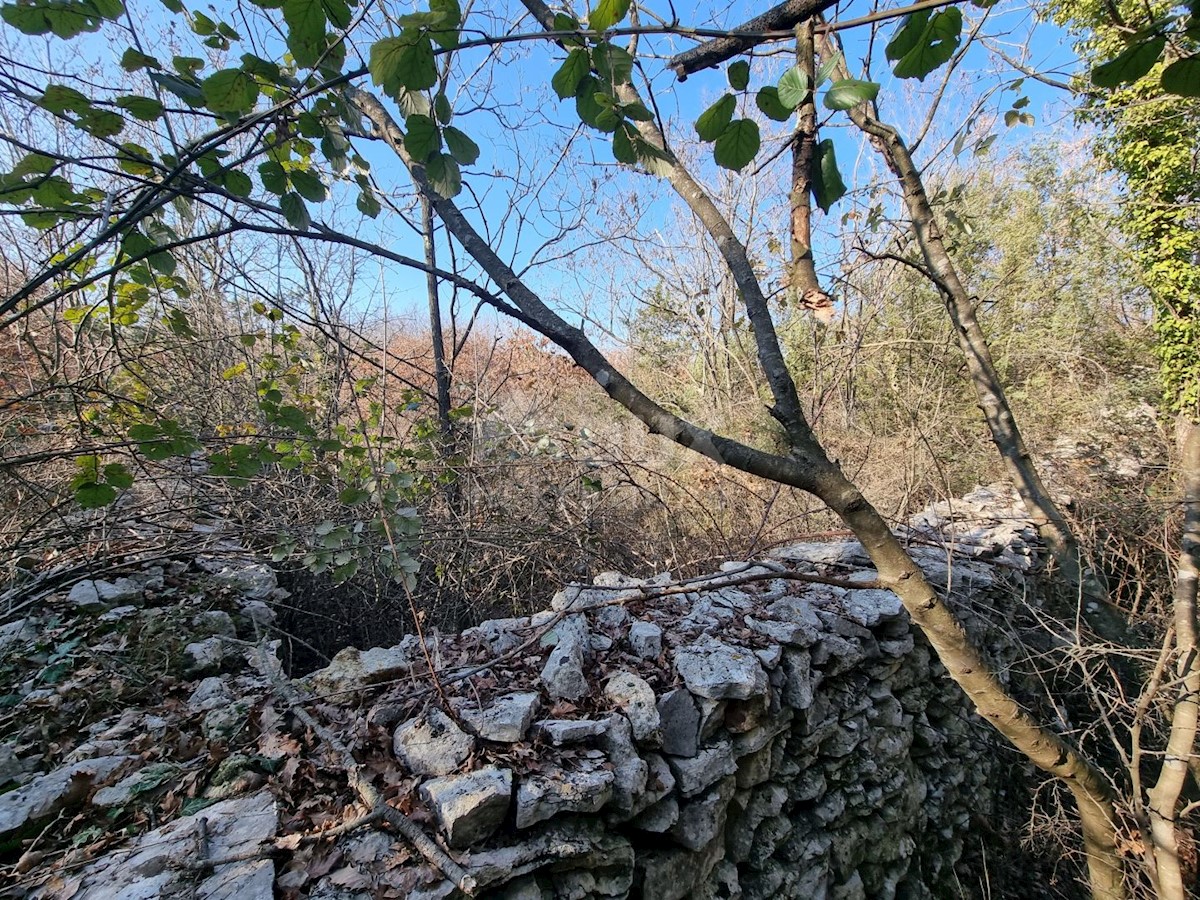 Zemljište Na prodaju - ISTARSKA VODNJAN