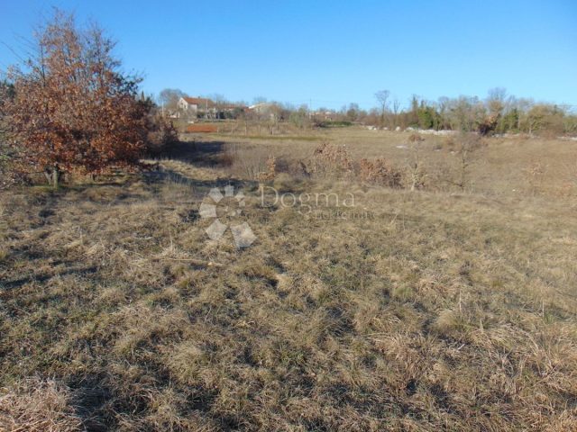 Pozemok na predaj 10011 m² – Cere