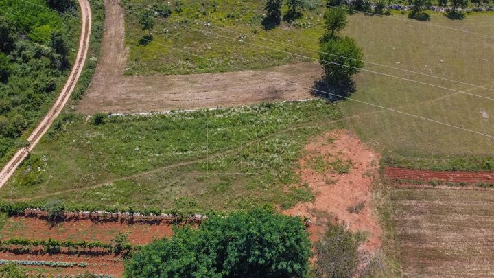Terreno In vendita - Istarska Poreč - foto 3/3
