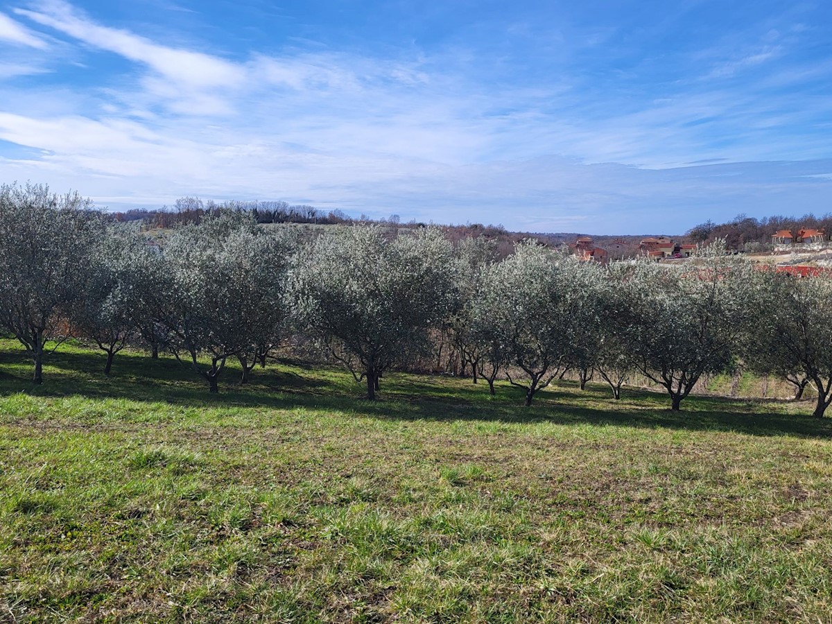 Land For sale VIŽINADA