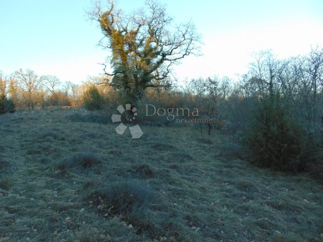 Pozemok na predaj 13969 m² – Cere
