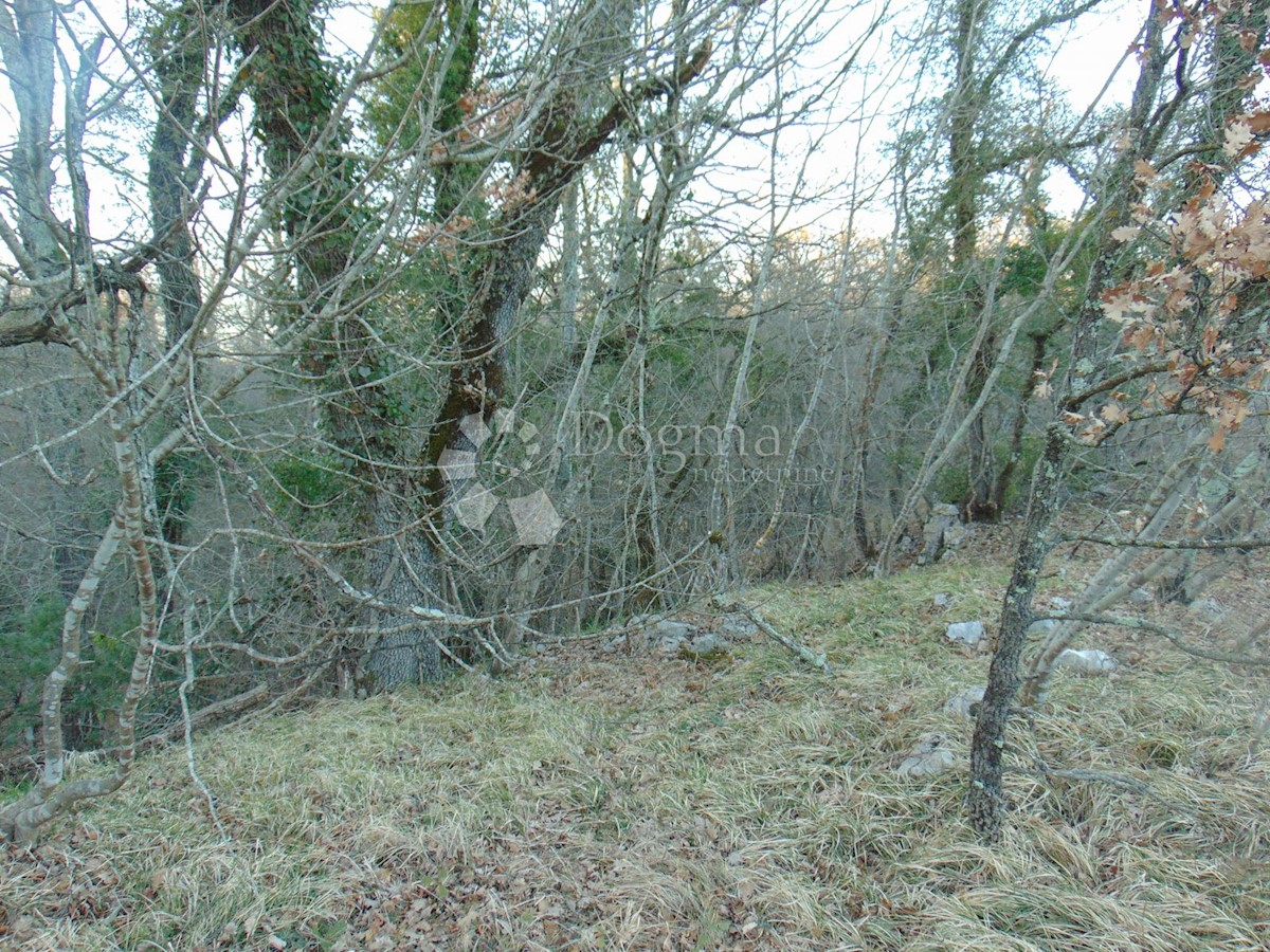 Terreno In vendita - ISTARSKA ŽMINJ