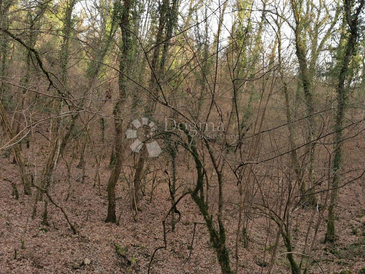 Terreno In vendita - ISTARSKA ŽMINJ