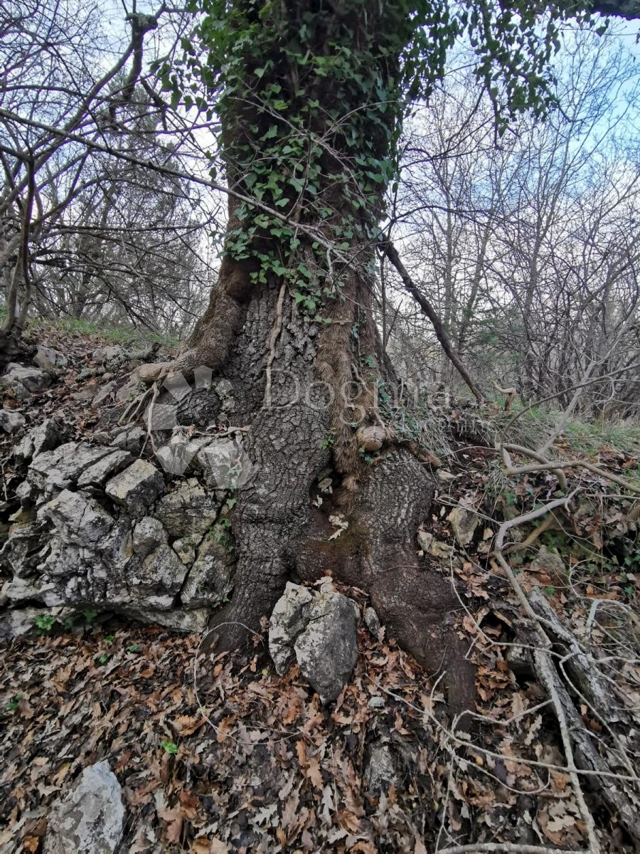 Terreno In vendita - ISTARSKA ŽMINJ