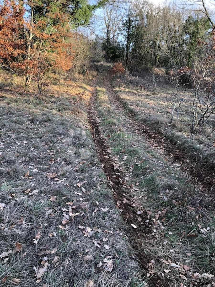 Parcela Naprodaj - ISTARSKA Žminj