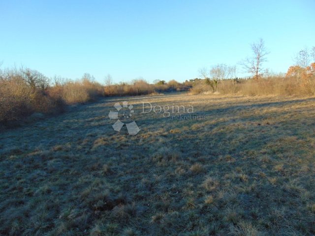 Pozemok na predaj 5430 m² – Cere