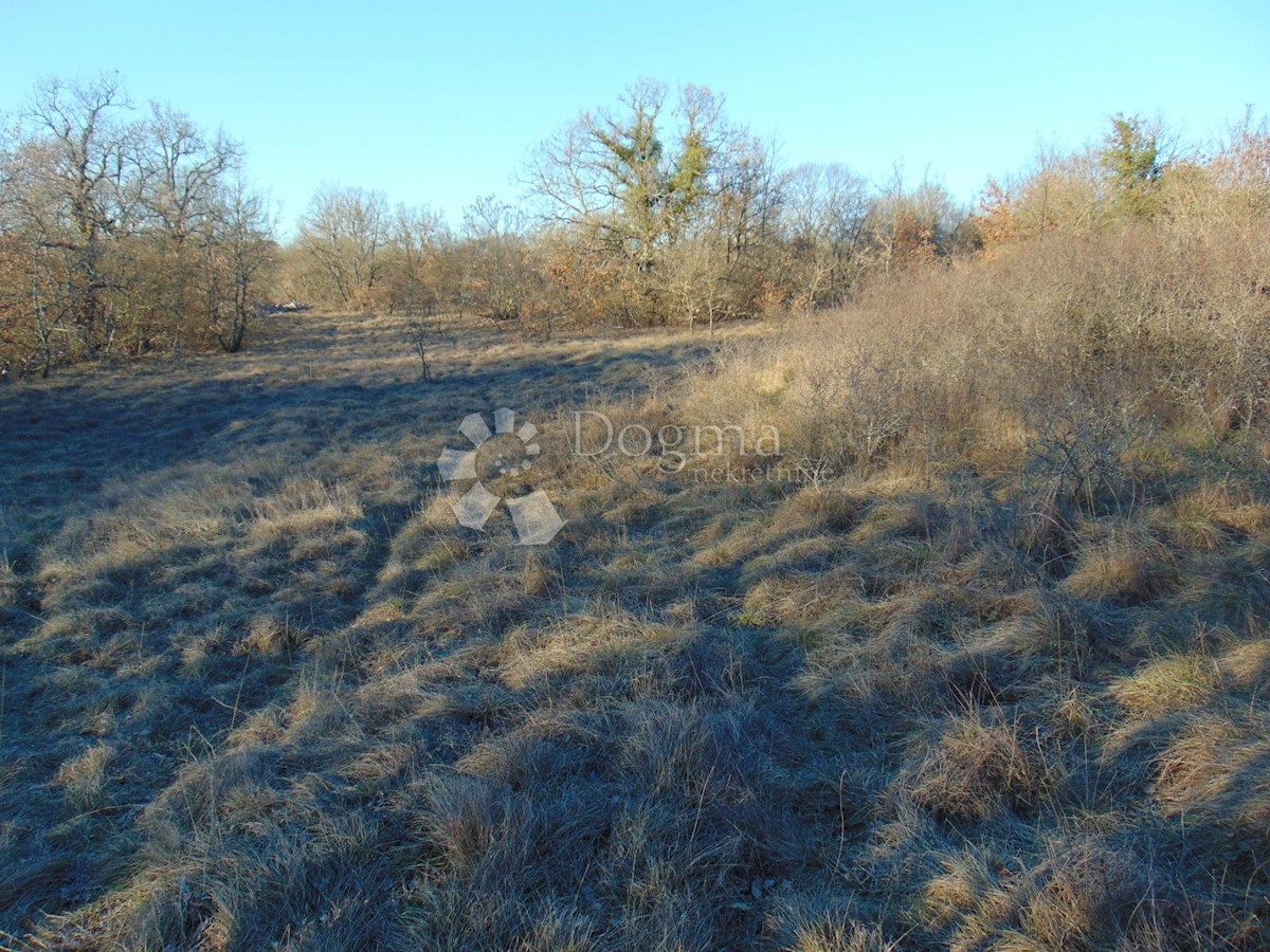 Terreno In vendita CERE