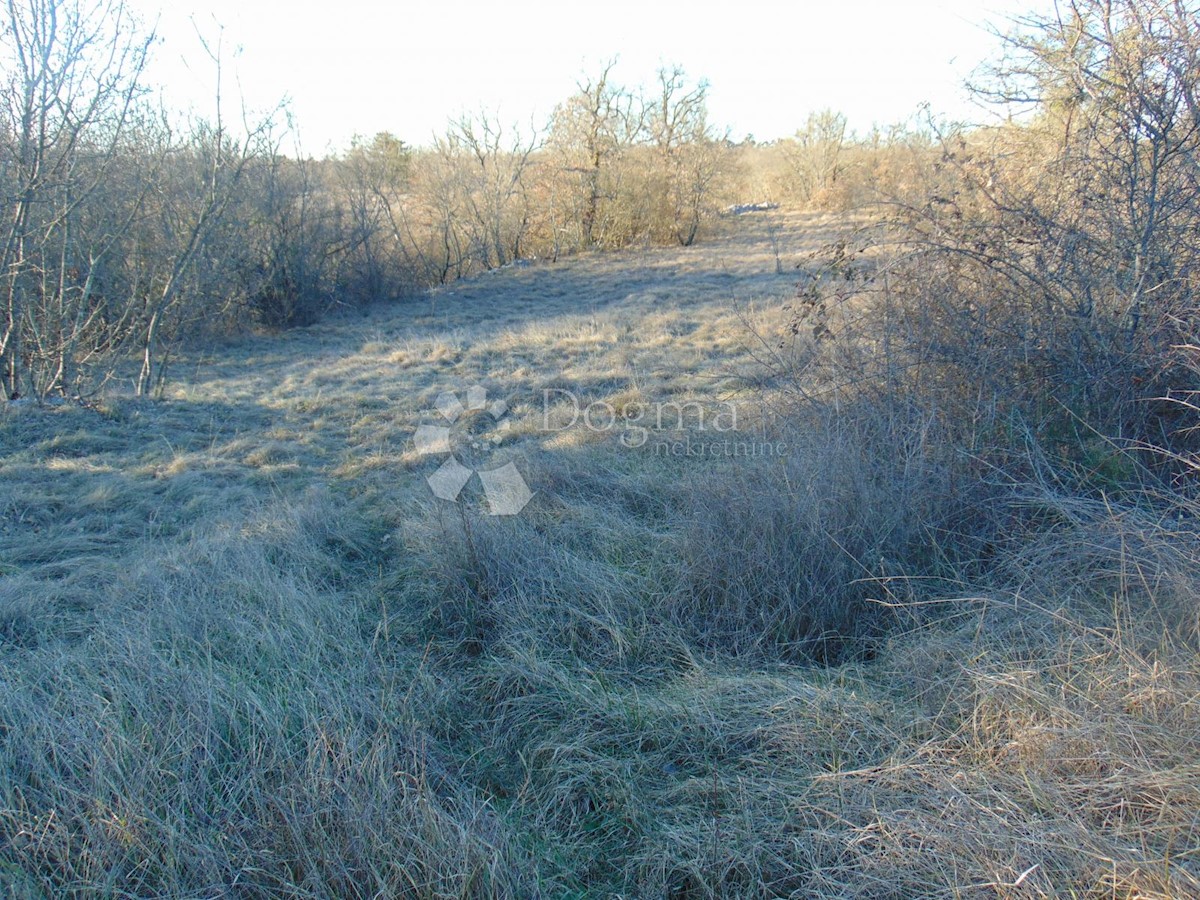 Terreno In vendita - ISTARSKA ŽMINJ