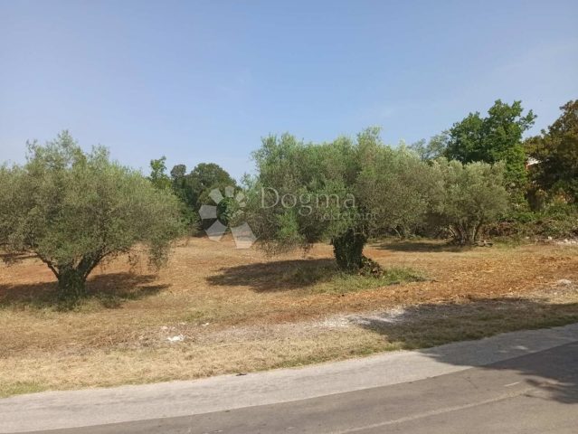Terreno in vendita 2407 m² – Krnica