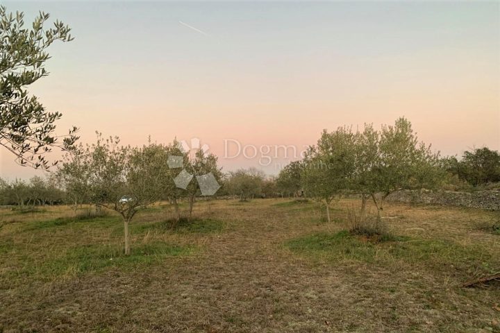 Terrain à vendre 13128 m² – Bale