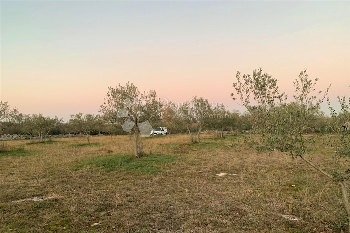 Parcela Naprodaj - ISTARSKA Bale