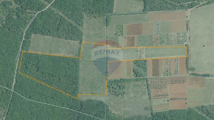 Terreno in vendita 80112 m² – Rogovići