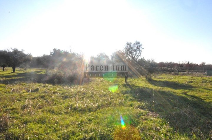 Działka na sprzedaż 20000 m² – Nova Vas