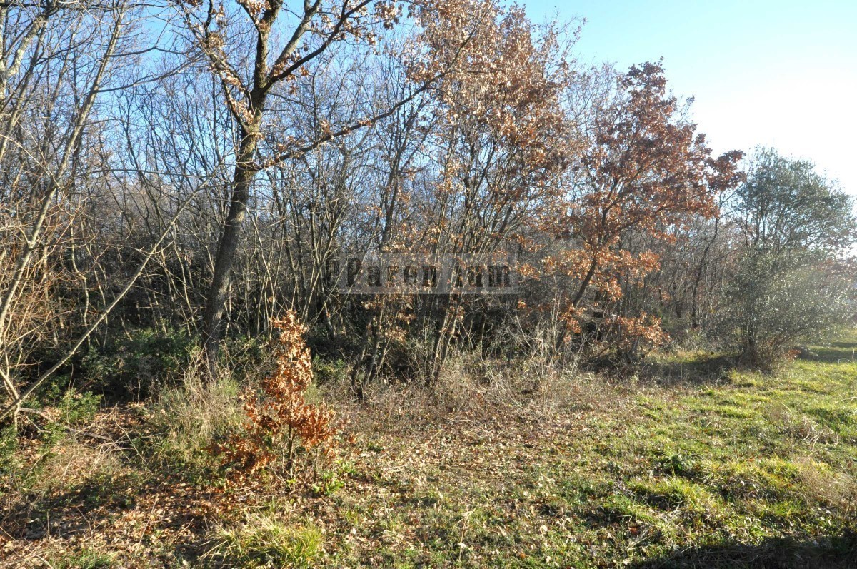 Land For sale - ISTARSKA POREČ