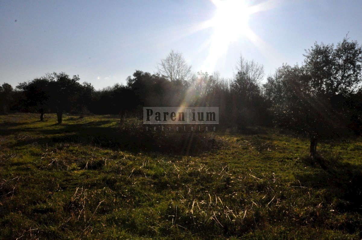 Land For sale - ISTARSKA POREČ