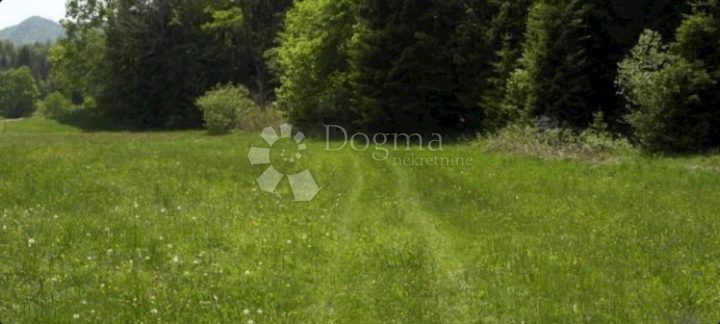 Grundstück Zu verkaufen - Primorsko-goranska Ravna Gora - foto 3/5