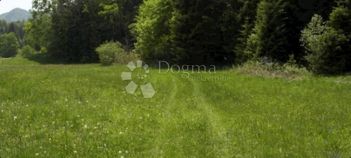 Land For sale - PRIMORSKO-GORANSKA RAVNA GORA